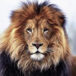 lion, king, animal-5292016.jpg